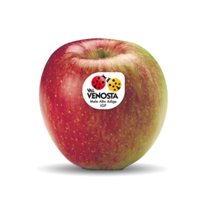 منتجات غذائية